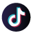 TikTok Logo